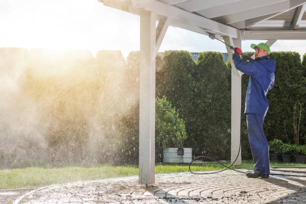 Best Building Exterior Washing  in French Lick, IN